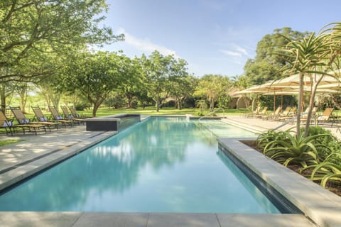 Natural landscape, Garden, Garden view, Swimming pool, sunbed
