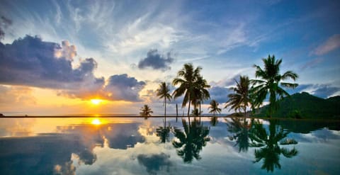 Summer, On site, Pool view, Sea view, Swimming pool, Swimming pool, Sunrise