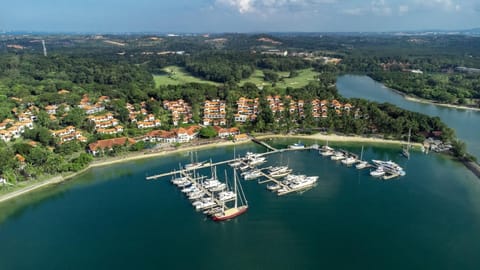 Natural landscape, Bird's eye view