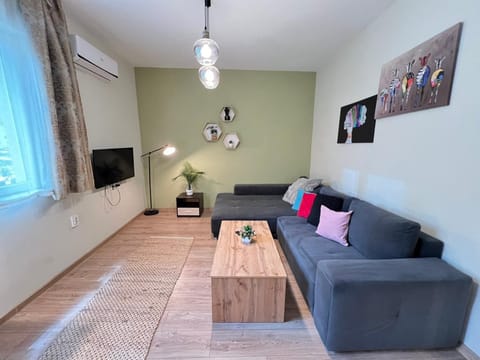 Communal lounge/ TV room, Living room, air conditioner