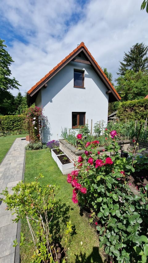 Property building, Spring, Garden, Garden view