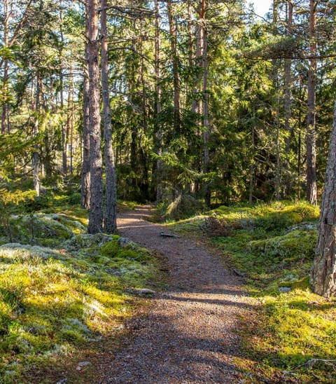 Cafe Alppila Campground/ 
RV Resort in Finland