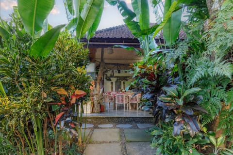 Restaurant/places to eat, Garden, Garden view