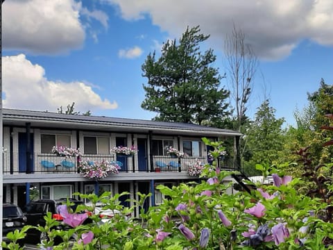 Blue Moon Motel Motel in Niagara Falls