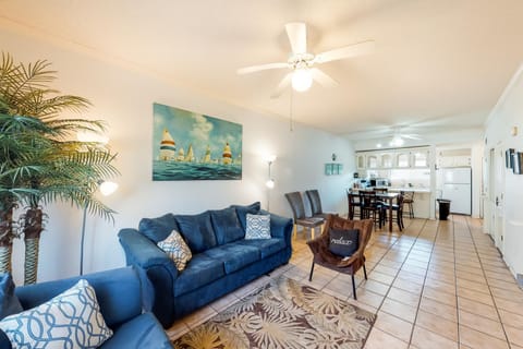 Dolphin #20 Apartment in South Padre Island