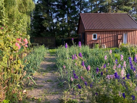 Agroturystyka Omelia Country House in Pomeranian Voivodeship