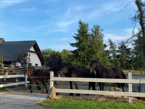 Agroturystyka Omelia Country House in Pomeranian Voivodeship