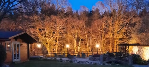 Property building, Night, Natural landscape, Garden, Garden view