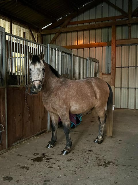 Domaine Uraveni Bed and Breakfast in Brittany