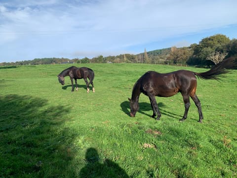 Domaine Uraveni Bed and Breakfast in Brittany