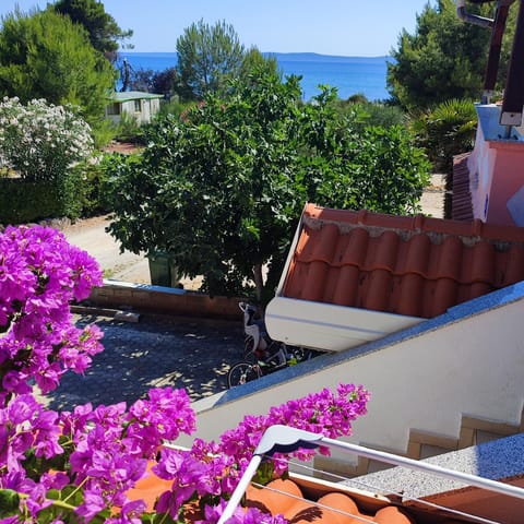 Sea view