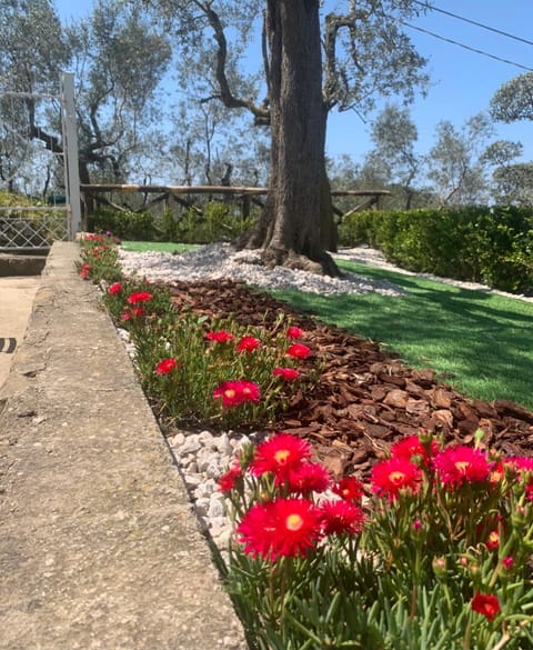 A Sorrento Bed and Breakfast in Priora