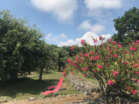 Property building, Garden view