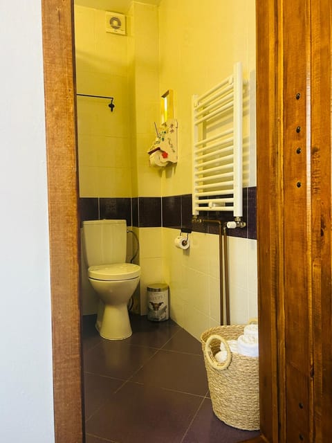 Toilet, Bathroom, towels