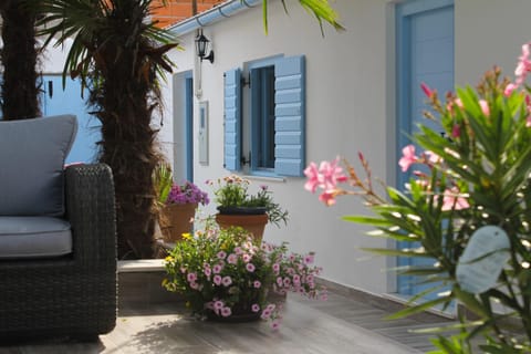 Patio, Garden, Balcony/Terrace