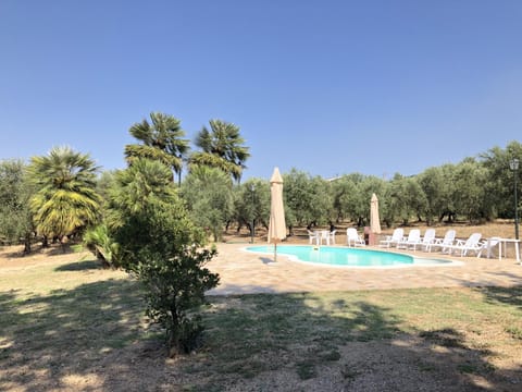 Garden, Pool view, Swimming pool