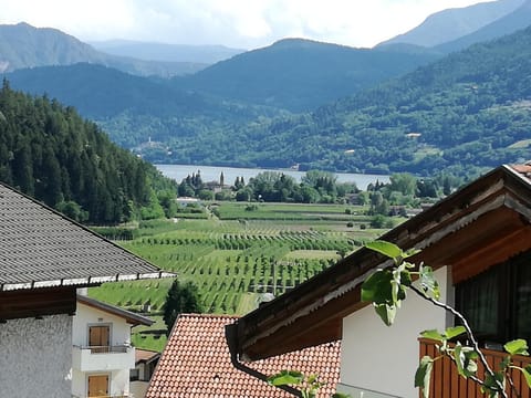 Lake view