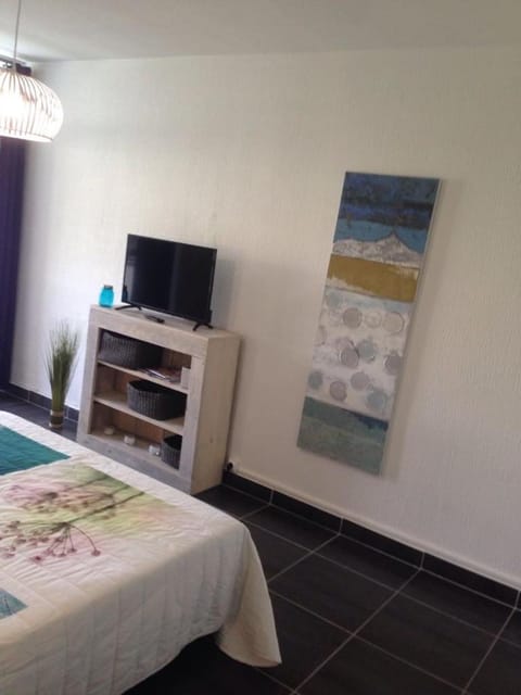 Studio Bas du Fort Guadeloupe Apartment in Le Gosier