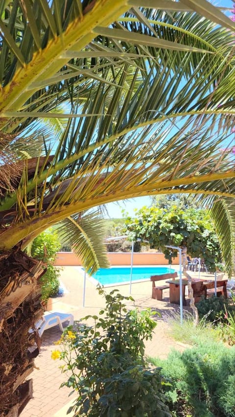 Stella apartments Bed and Breakfast in Pula