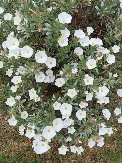 Terra di Magie Farm Stay in Marche