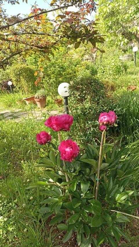 Terra di Magie Farm Stay in Marche