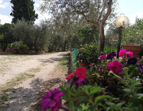 Nel Chianti lungo la Francigena Apartment in Colle di Val d Elsa