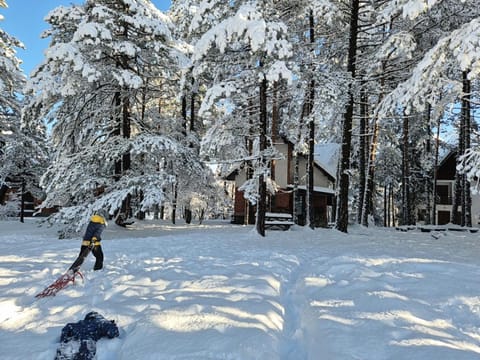 Rustic Home Tara House in Zlatibor District, Serbia