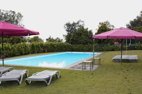 Swimming pool, Swimming pool