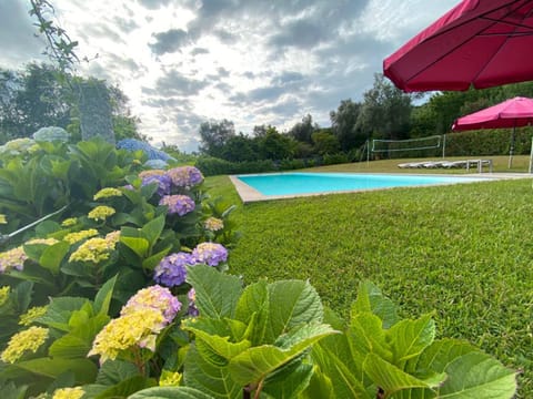 Patio, Garden, Garden view, Swimming pool