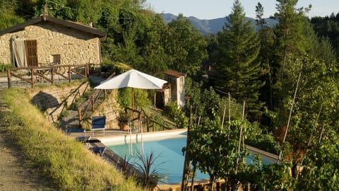 Food, Mountain view, Pool view, Swimming pool, Lunch, Dinner, Family