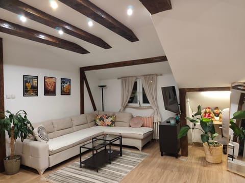 Living room, Photo of the whole room, Seating area