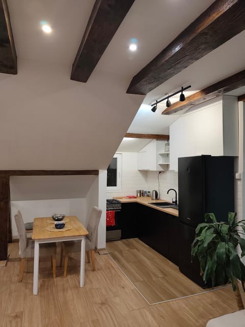 Kitchen or kitchenette, Dining area, oven, stove