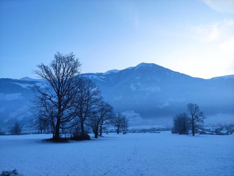 Natural landscape, Winter