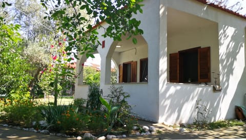Property building, Garden, Garden view