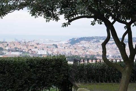 Garden, City view, Sea view