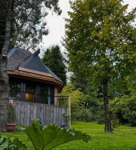 Ivybank Villa Apartment hotel in Scotland