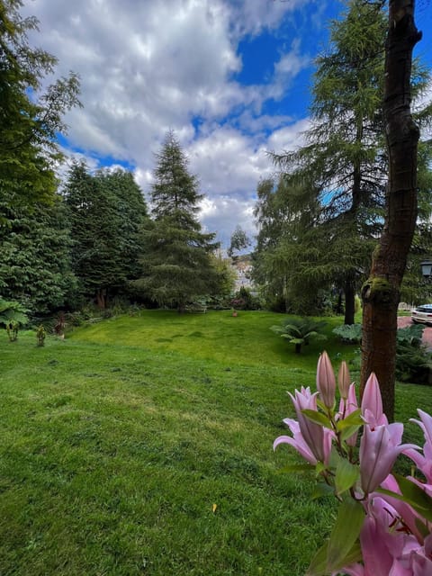 Ivybank Villa Apartment hotel in Scotland