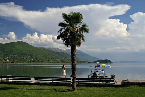Natural landscape