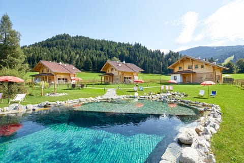 Garden, View (from property/room), Swimming pool, Swimming pool
