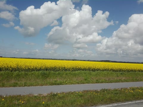 Ferienwohnung Kreider Apartment in Dagebüll
