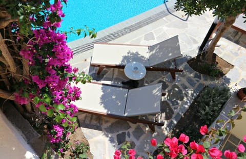 Patio, Garden, Swimming pool