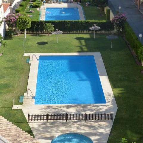 Garden, Swimming pool