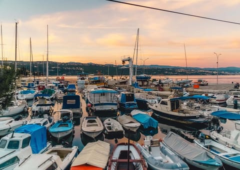 Neighbourhood, Summer, Area and facilities, Sunrise