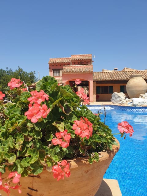 Property building, Day, Pool view
