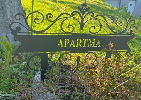 Apartment Visak Apartment in Bled