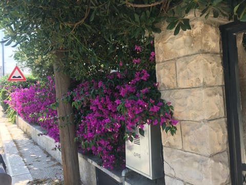 Villetta Sole Villa in Bari