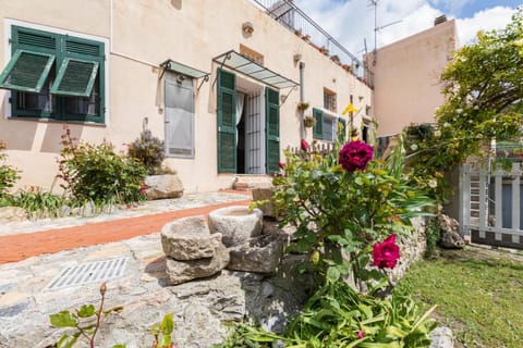 Property building, Facade/entrance, Garden