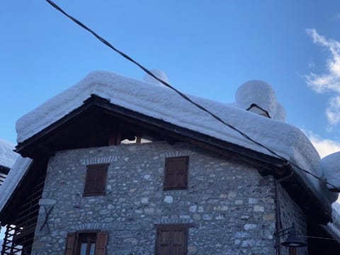 La Tana dell'Orso Apartment in Friuli-Venezia Giulia