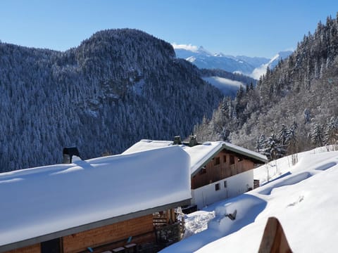 Les Gets Chalet in Les Gets