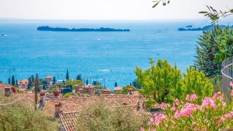 Lake view